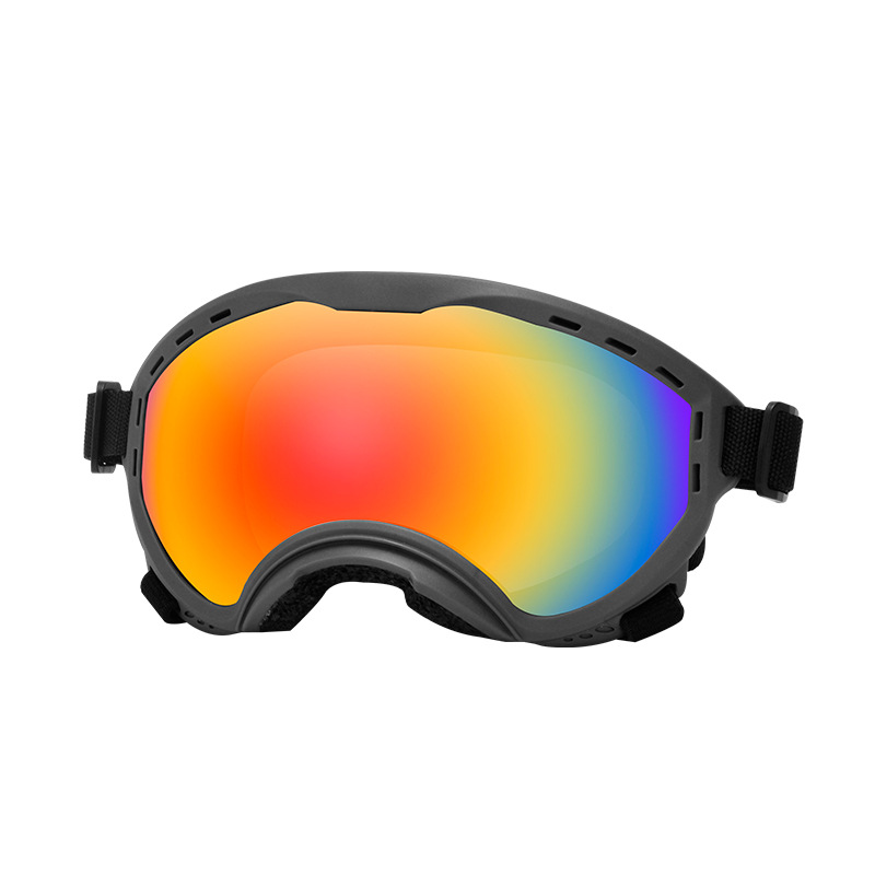 Travel Accessories Ideas - Lunettes de protection pour animaux de