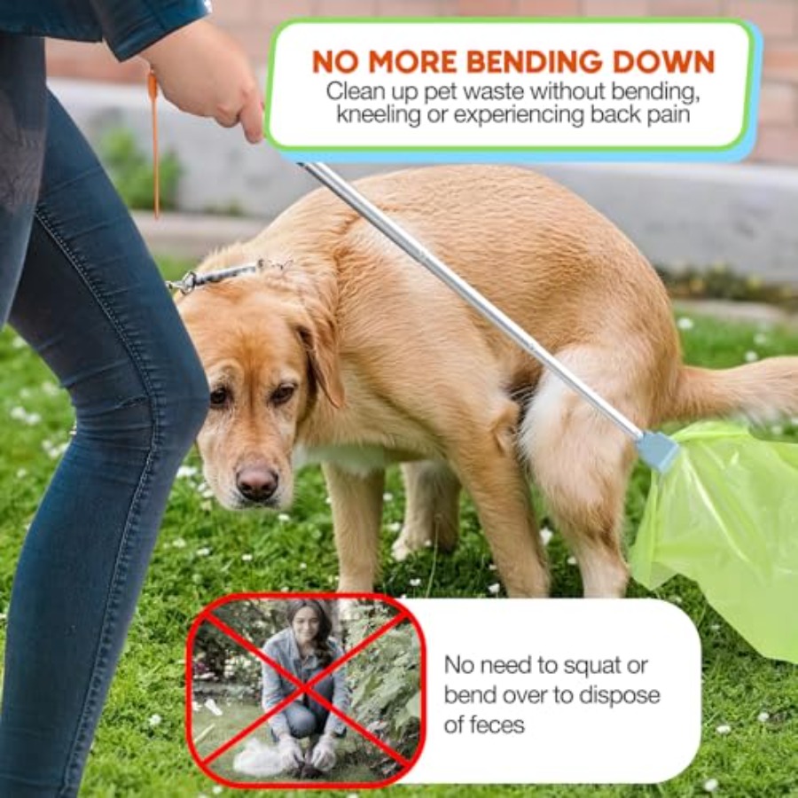 Ramasse-crottes pour chien, ou - Travel Accessories You Need avis et prix