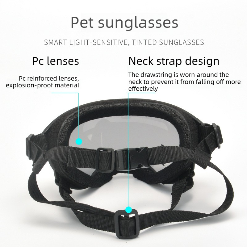 Lunettes de protection pour an - Travel Accessories Ideas avis et prix