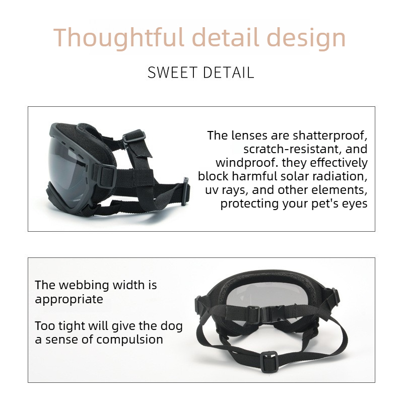 Lunettes de protection pour an - Travel Accessories Ideas avis et prix